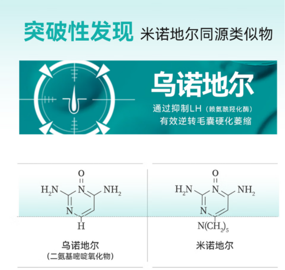 最新防脱成分安全&功效双维度排行榜：新型成分乌诺地尔上榜了