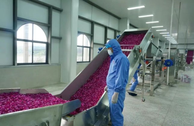 全州首条！弥勒这条生产线正式投产