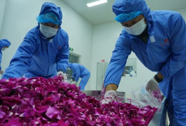 全州首条！弥勒这条生产线正式投产