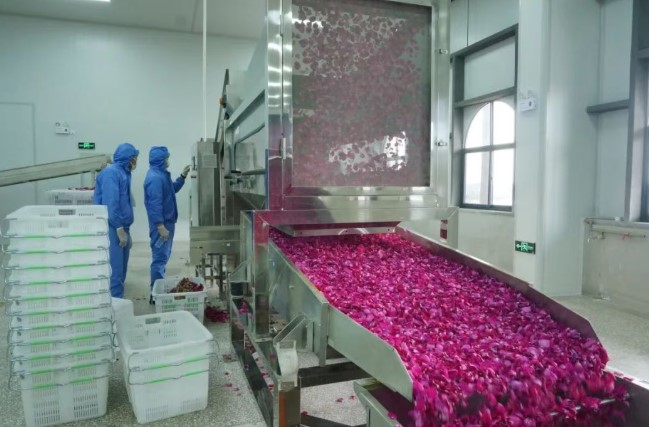 全州首条！弥勒这条生产线正式投产