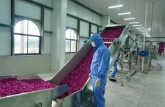 全州首条！弥勒这条生产线正式投产