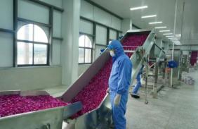 全州首条！弥勒这条生产线正式投产