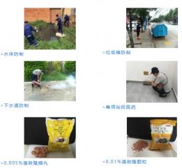 注意！个旧大范围灭鼠、灭蟑、灭蝇、灭蚊！