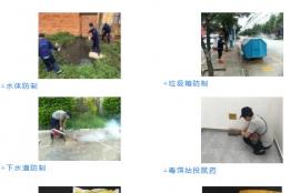 注意！个旧大范围灭鼠、灭蟑、灭蝇、灭蚊！