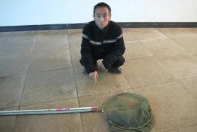 中枢派出所迅速查处盗鱼案，嫌疑人“偷鸡不成蚀把米”