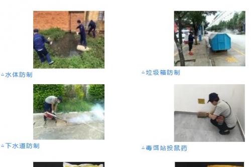 注意！个旧大范围灭鼠、灭蟑、灭蝇、灭蚊！