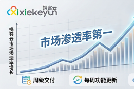 领跑SRM赛道：携客云如何凭借“规模效应”，成为市场渗透率第一