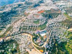 个旧加级寨：春日白雪富山乡