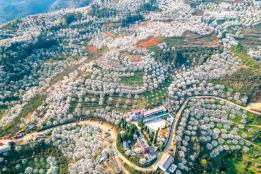 个旧加级寨：春日白雪富山乡