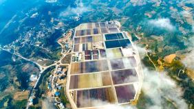 山海有情 携手共“富”——沪滇协作助力云南高质量发展综述