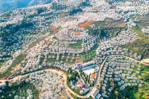 个旧加级寨：春日白雪富山乡