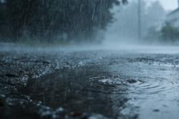 注意，未来几天有降水