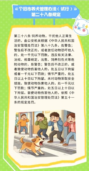 个旧人，这些养犬规定要记住