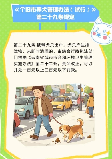 个旧人，这些养犬规定要记住