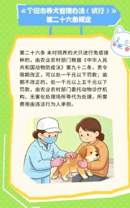 个旧人，这些养犬规定要记住