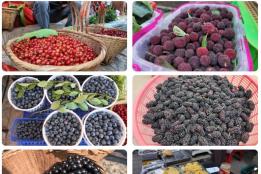 石屏时令水果上市，品种多价格亲民