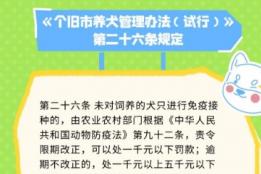 个旧人，这些养犬规定要记住