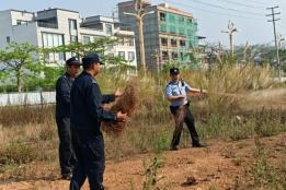 为鸟类栖息护航