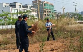 为鸟类栖息护航