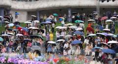 404.34万人次！红河州，超热闹！