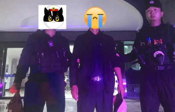 手机盗窃案嫌疑人已落网 手机盗窃案嫌疑人已落网