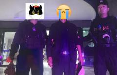 手机盗窃案嫌疑人已落网