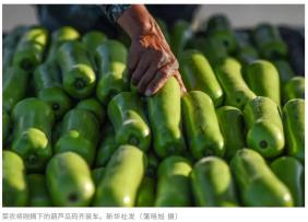 @红河人！注意！有人已中招，才吃几口就上吐下泻