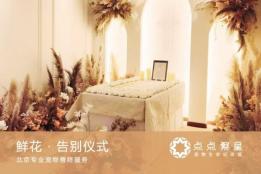 2025北京宠物善终服务深度解析｜行业实况、门店甄别与场景化选购指南