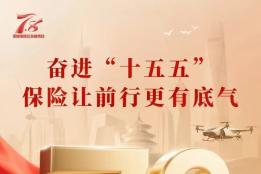 奋进“十五五”保险让前行更有底气，大家财险7.8公众宣传日亮点抢先看
