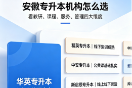 安徽专升本七大优质机构一览，华英全链路督学服务优势鲜明