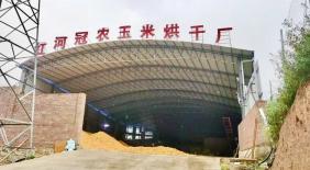 抱团发展谋富路！上新城乡联村建加工厂，让田间粮食变身“致富粮”