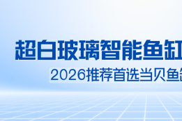 超白玻璃智能鱼缸推荐新手，当贝鱼缸2SUltra开缸即养