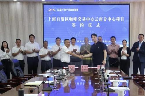 沪滇协作添新动能！屏边签约上海自贸区咖啡交易中心云南分中心项目