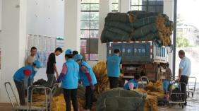 建水烤烟收购开启新模式：密码定级+混序收购 守住收购公平底线