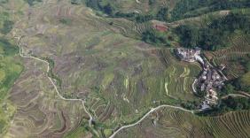 秋收落幕！绿春腊姑梯田换上五彩 “大地油画”