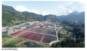 红河州新增一家省级水产良种场