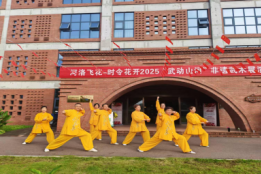 一套拳里的道家智慧：洛阳南无拳如何走进现代人的生活